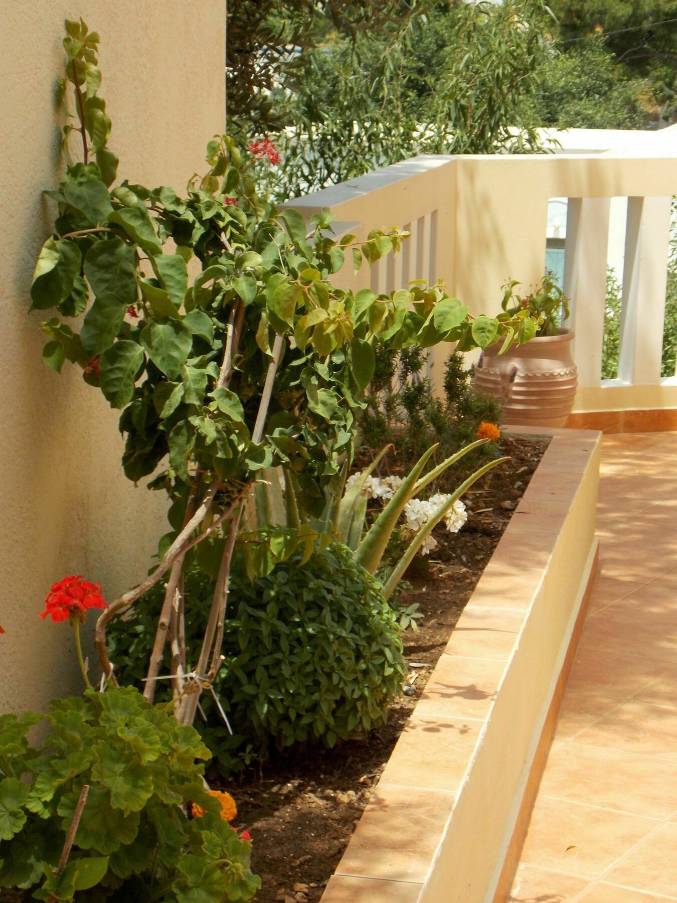 Myrties Boutique Apartments ماسوري المظهر الخارجي الصورة